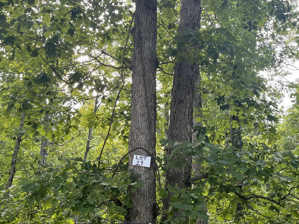 19 Buck Creek Circle, Somerset