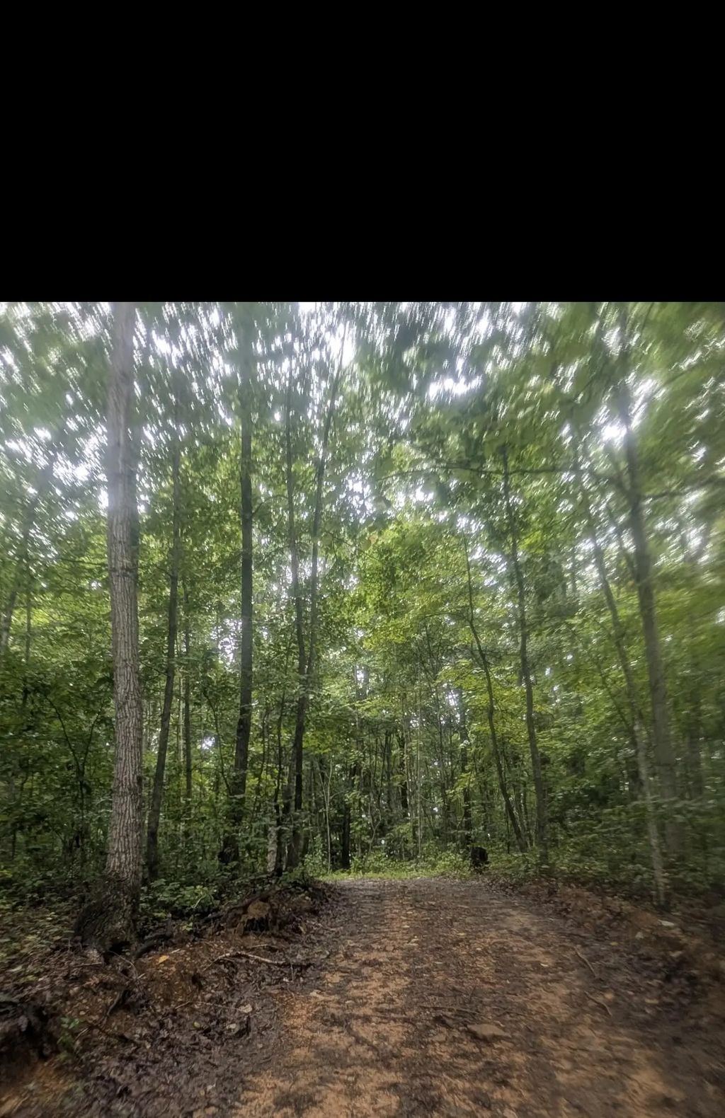 2222 Bridge Rock Road 2222, McKee