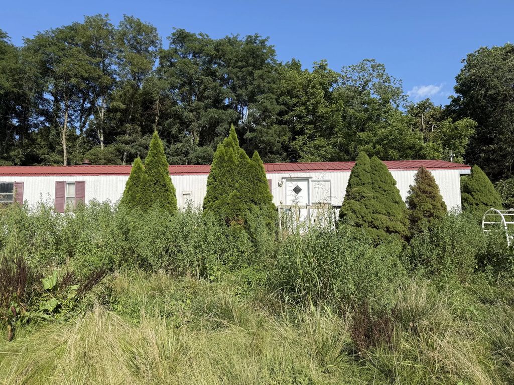 4782 Kentucky 596, Germantown