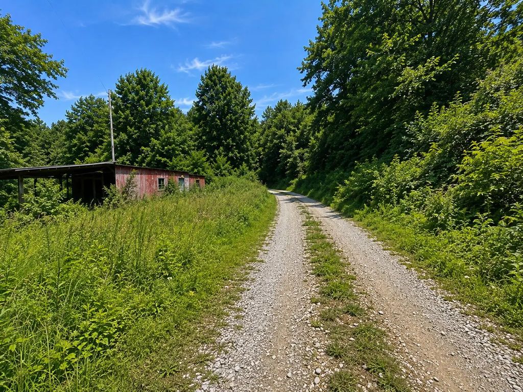 3066 Big Willard Road, Busy