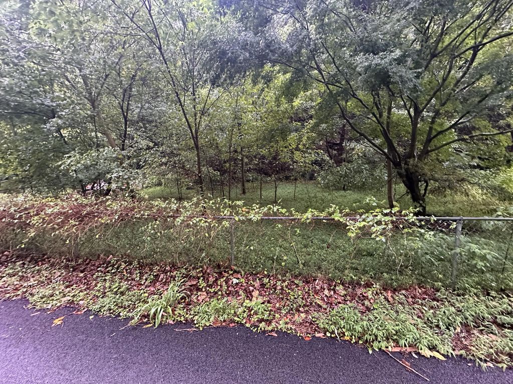 816 Road Creek, Elkhorn City
