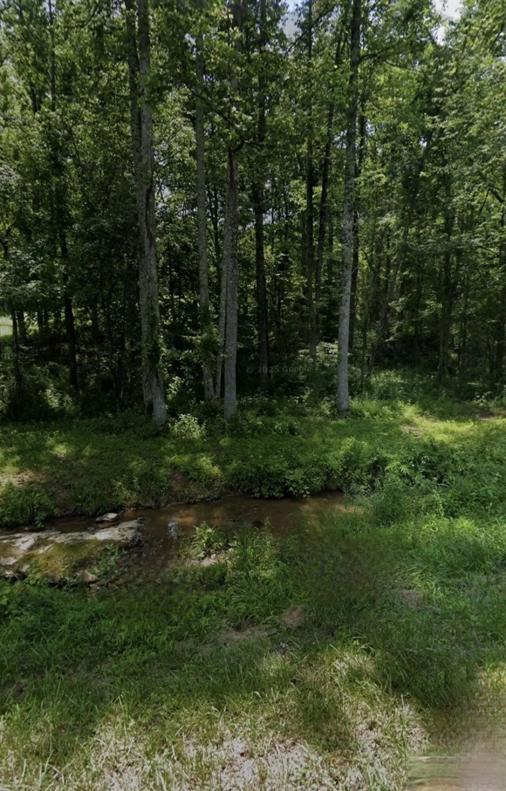 32 Coon Creek  Road, Wellington