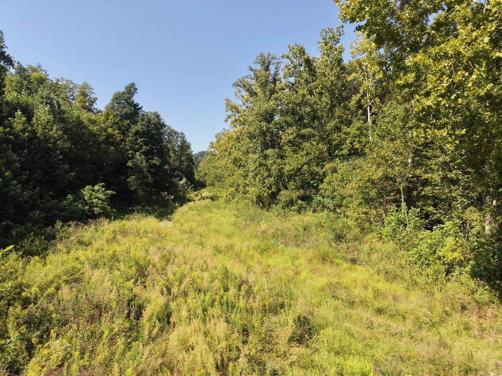 5409 5409 State Highway 599, Jeffersonville