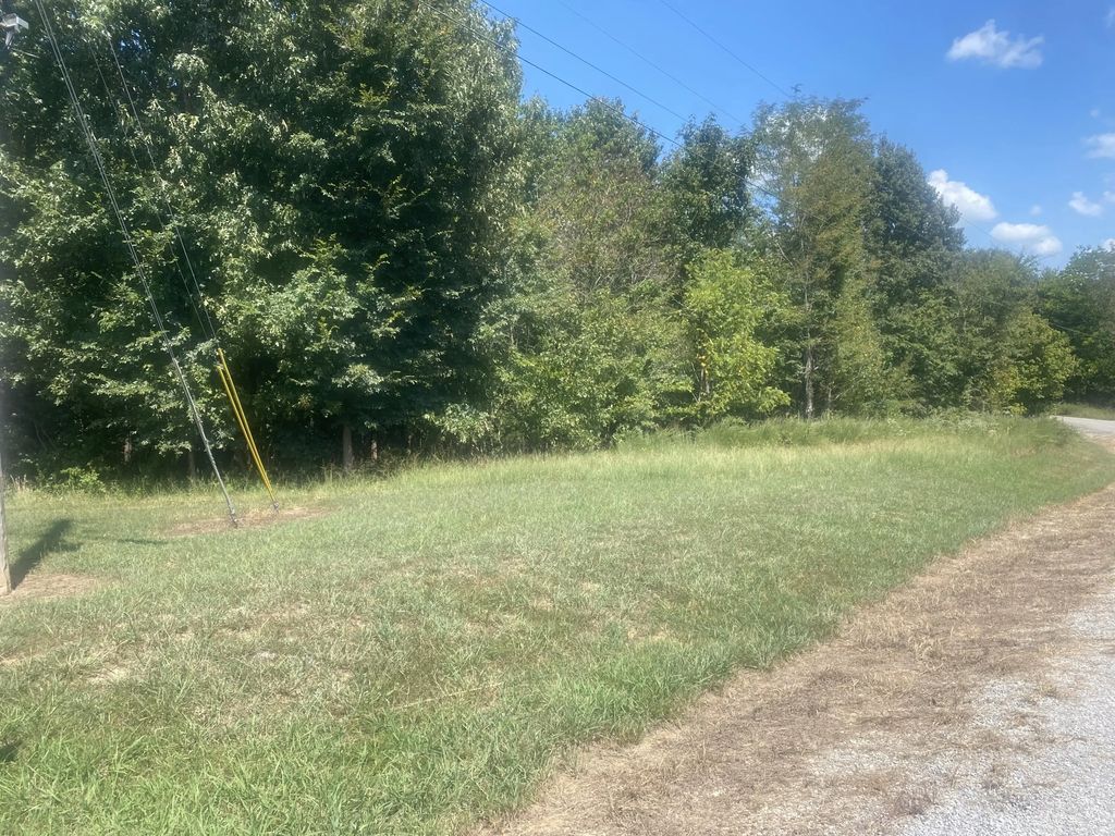 Lot 115 Woodfield Estates Drive, Cadiz