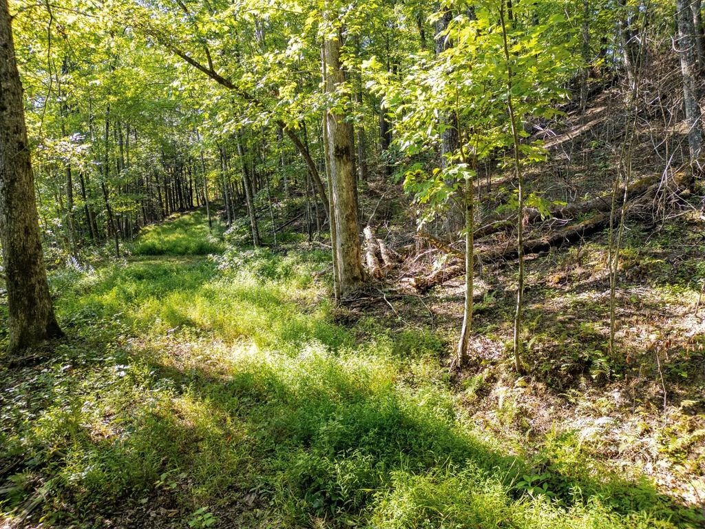 Highlands Of Rrg Lot 626 Bird Song Trail, Zoe