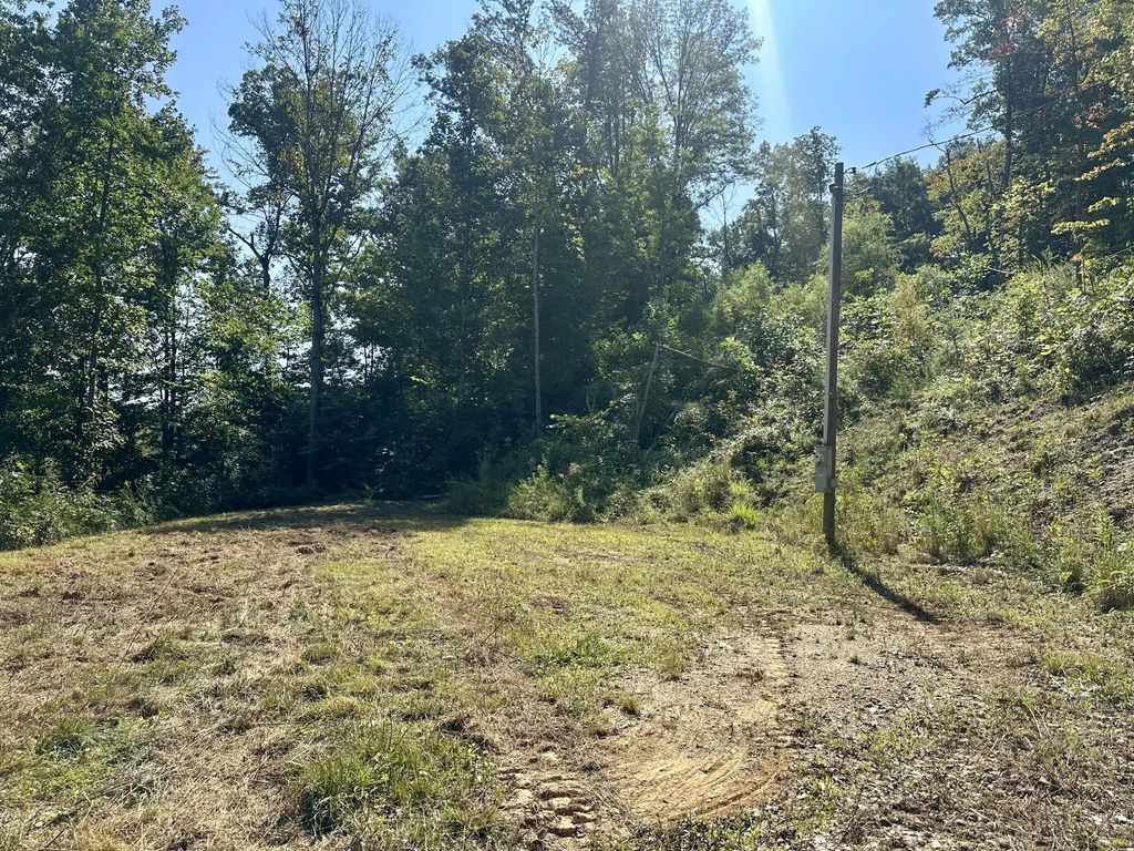 39 Yellowstone  Drive Lot 58, East Bernstadt