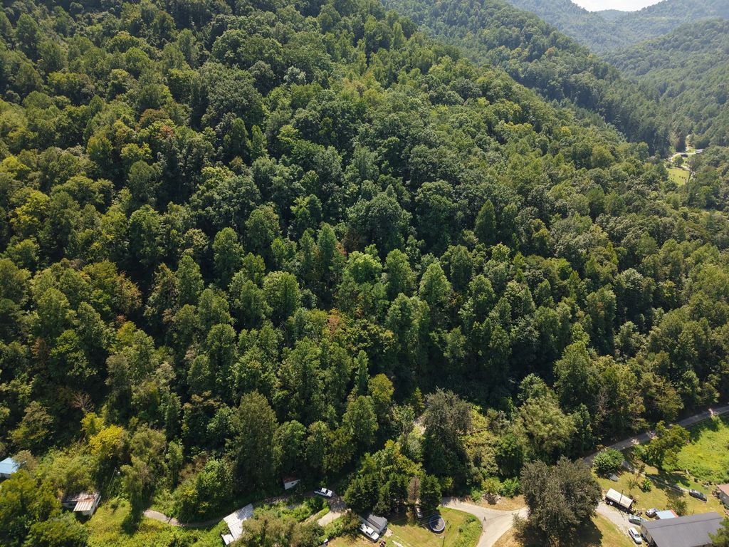 129 Pigeon Roost Branch, Pikeville