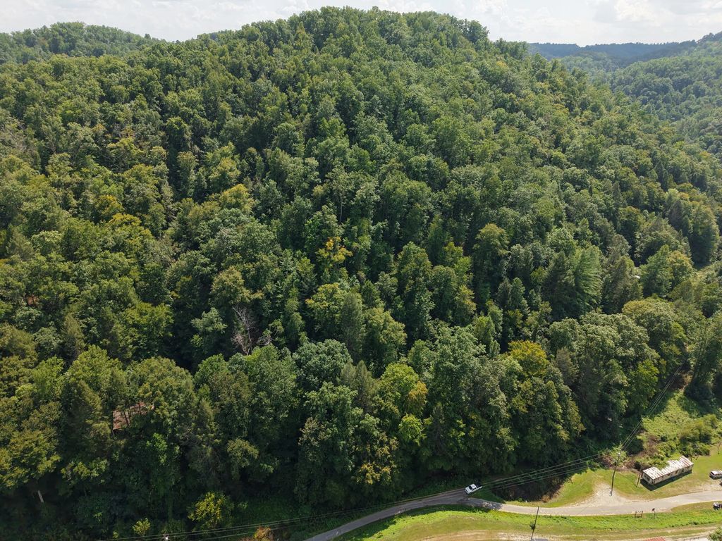 1081 Wooten Fork Road, Tomahawk