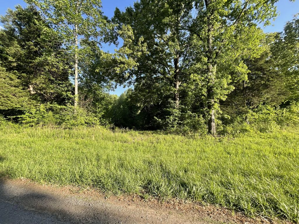 Lots 1x, 2x, 3x Pines Circle, Cadiz
