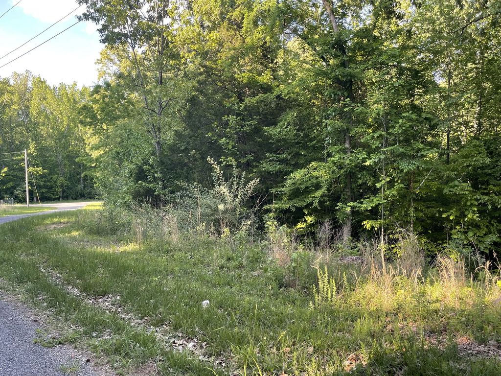 Lots 4x, 5x, 6x  Pines Circle, Cadiz