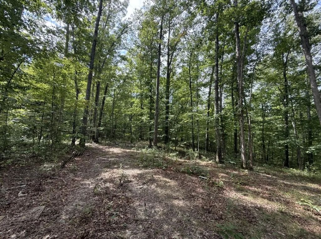0000 Shady Grove Road Lot 5, Mt Vernon