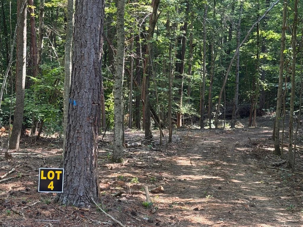 5664 Ky-1546 Lot 4, Monticello