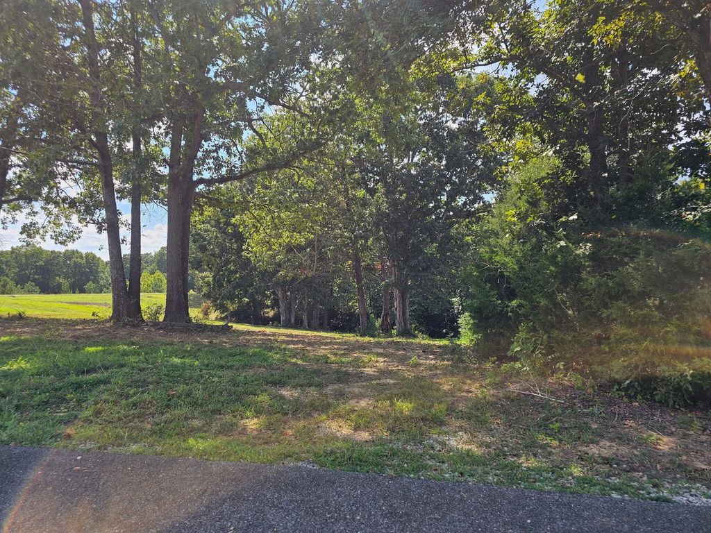 177 Corinne Drive, Eddyville