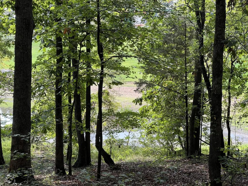 Lot 13  Veal Lane, New Concord