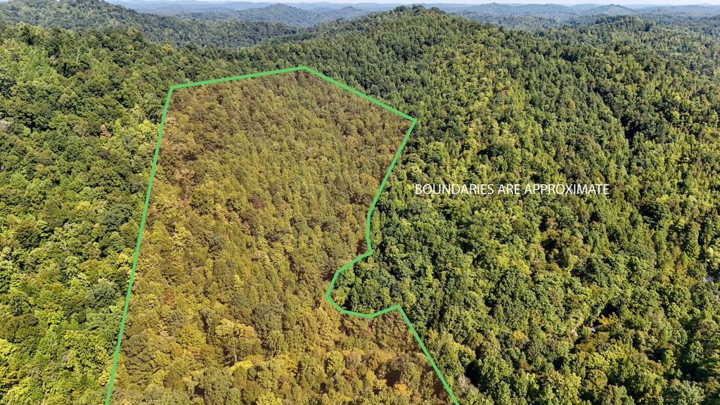 1737 Laurel Branch Road, Walker