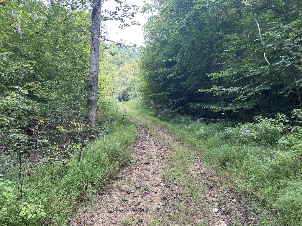 9999 Little Leatherwood Creek Road, Cornettsville