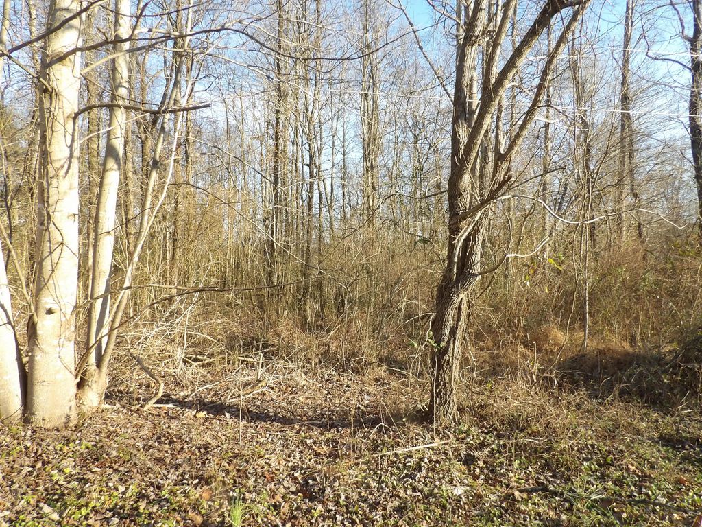 312 Blakely Lane, Middlesboro