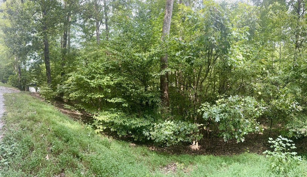Lot 24e, Lot 25e, Lot 26e Parkersville Road, Eddyville