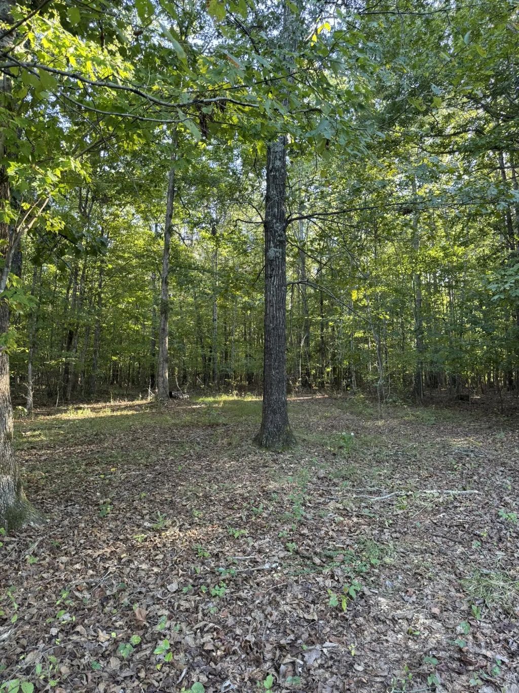 0003 Decatur  Road, Russell Springs