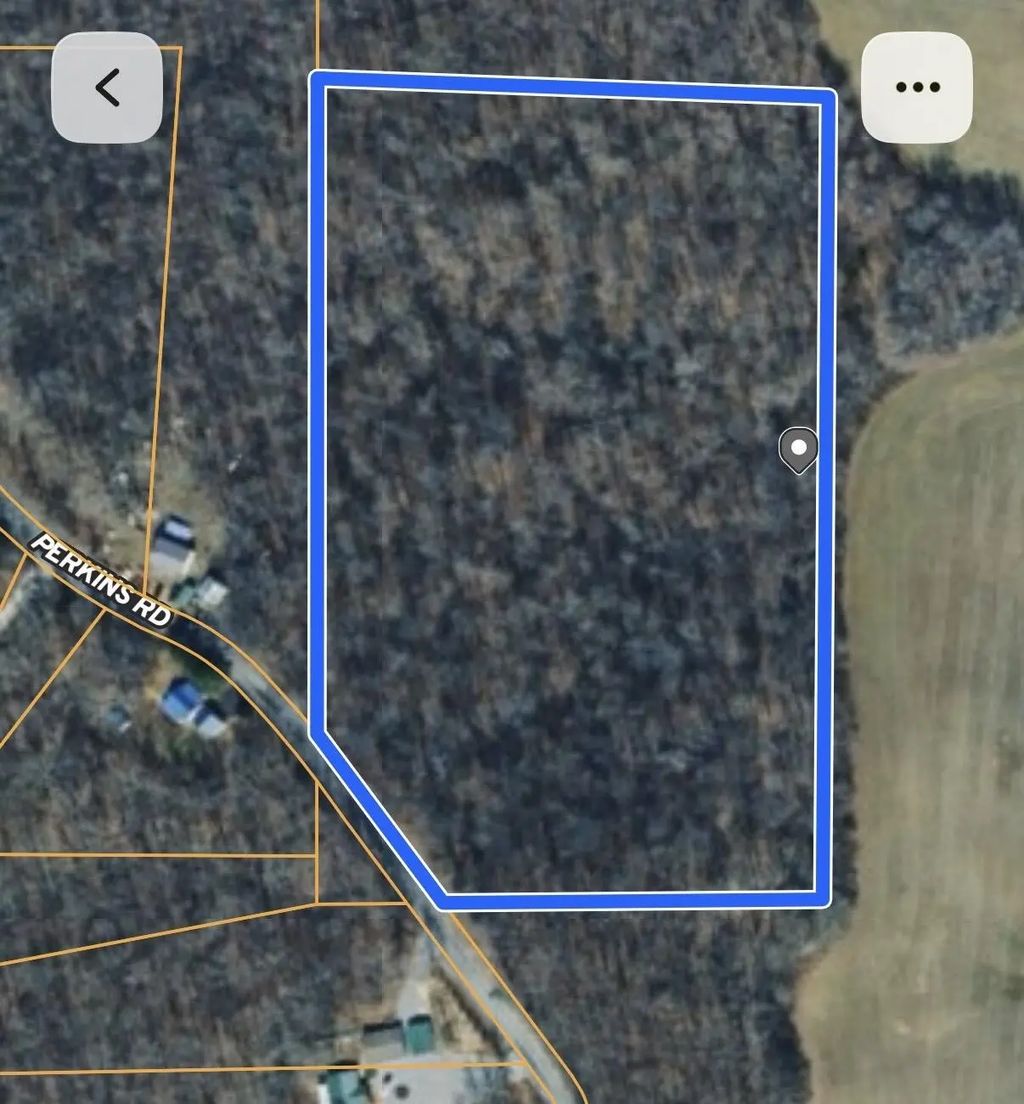 0 Perkins Road, Puryear