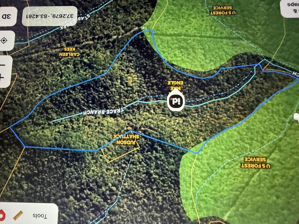 98.54 Acres M/1 Elkhorn Trace Branch, Hyden