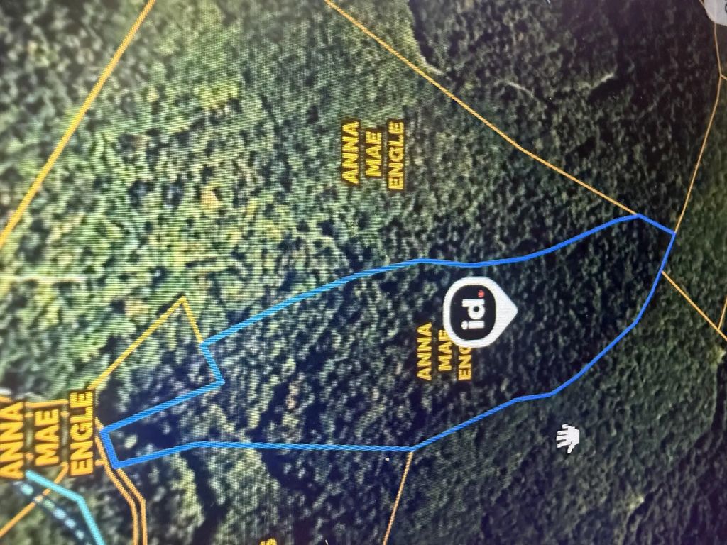 0 Peter Branch Of Wolf Creek 72.87 Acres/ 24 Acres, Hyden