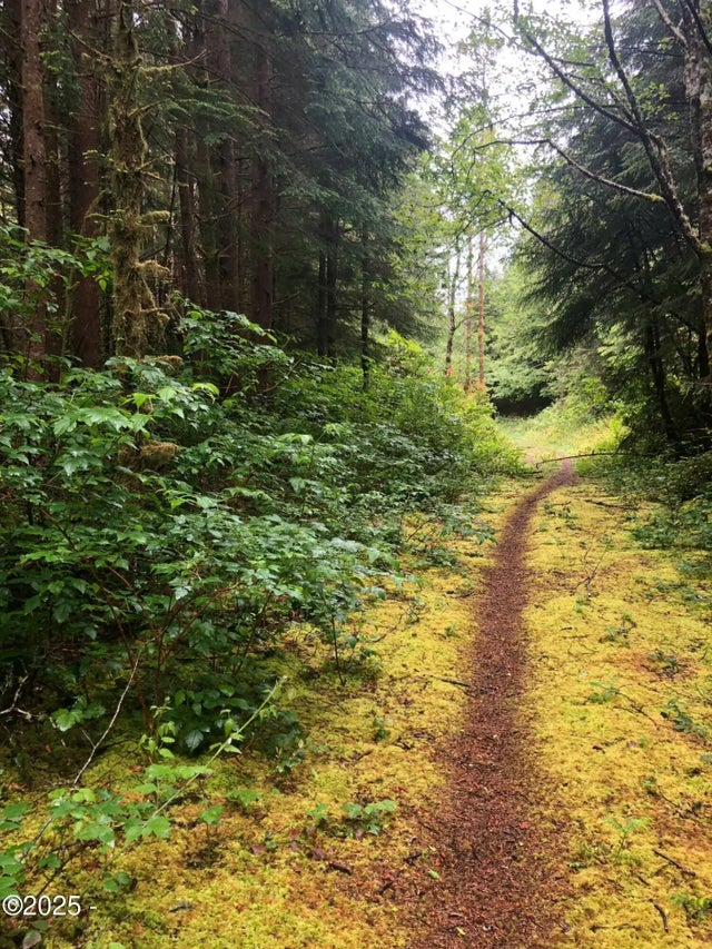 Tl 500 Se Chittum Drive, South Beach