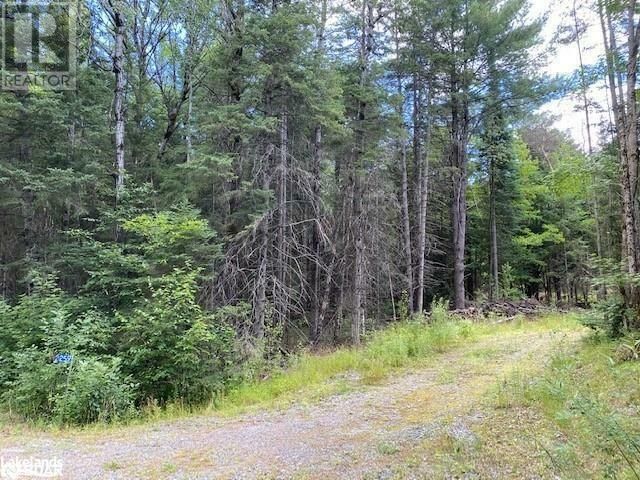 2259 Lone Pine Drive, Port Sydney