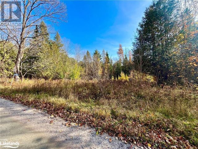 1164 Ravine Road, Minden Hills