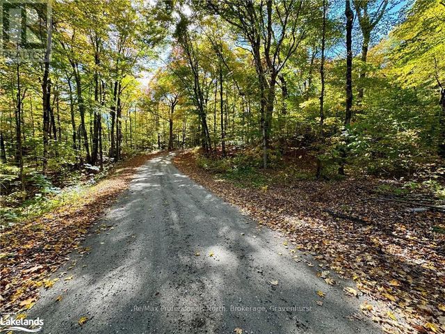 234 Longs Lake Road, Huntsville (stephenson)