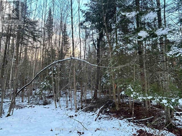 0 Sharon Lake Drive, Minden Hills