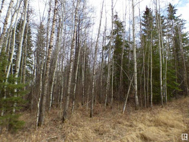 Twp 535 Range Road 41, Rural Lac Ste. Anne County