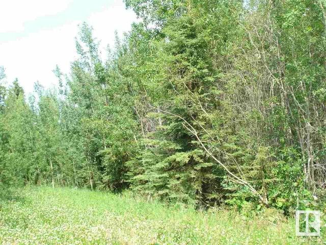 114 462025 Rge Rd 11, Rural Wetaskiwin County
