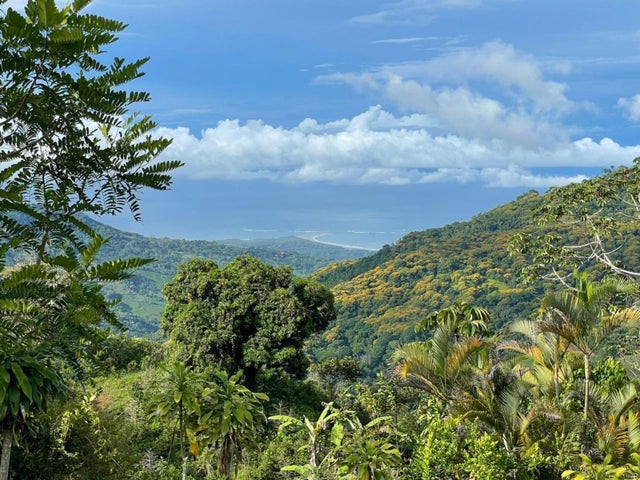 Impressive Farm With Whales Tail View And Waterfalls, Perez Zeledon
