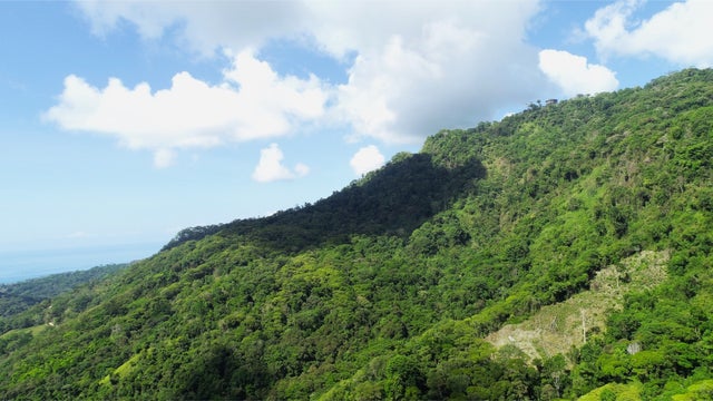 Incredible Wilderness Farm, Dominical