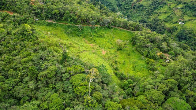 Natural Gem In Chimirol De Rivas, Perez Zeledon