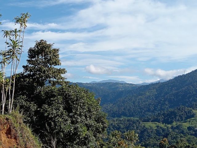 Finca Vista Hermosa, Perez Zeledon