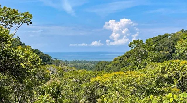 Lush Sanctuary Property, Ojochal