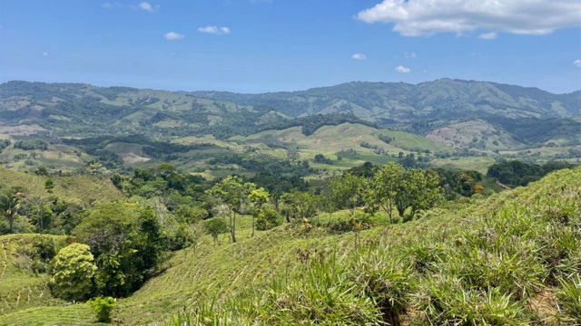 San Juan De Dios Farm With House, Perez Zeledon