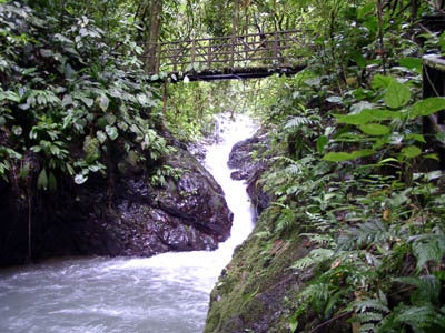 Rainmaker Farm, Manuel Antonio
