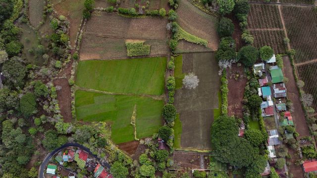 Residential Development Land, Alajuela