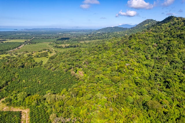 Expansive Ocean View Land, Manuel Antonio