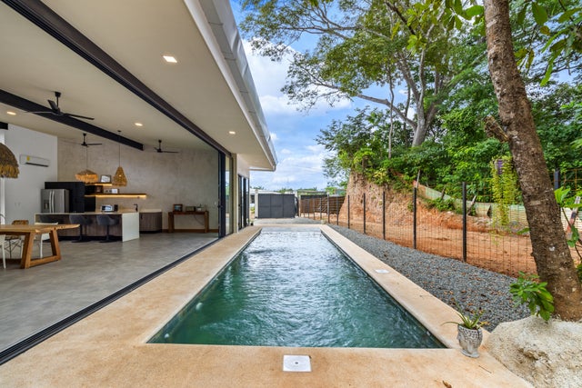 Contemporary House With A Tropical Setting, Tamarindo