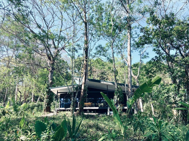 Jungle And River Hideaway With Three Units Santa Teresa, Santa Teresa