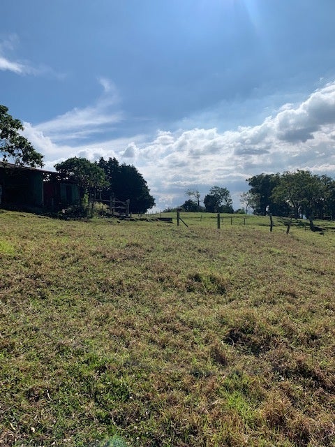 9 Hectare Mountain Farm In Heredia, Sacramento, Heredia