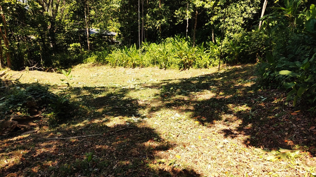 Build Your Dream Home In Dulce Pacífico | Secure Living Near The Coast, Dominical