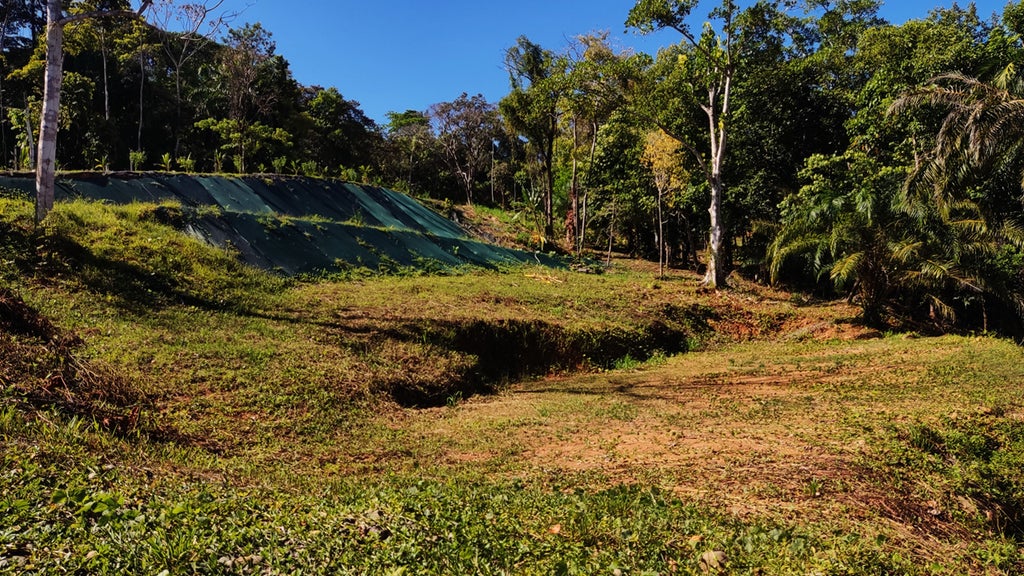 Amazing Forest & Mountain View Lot, Dominical