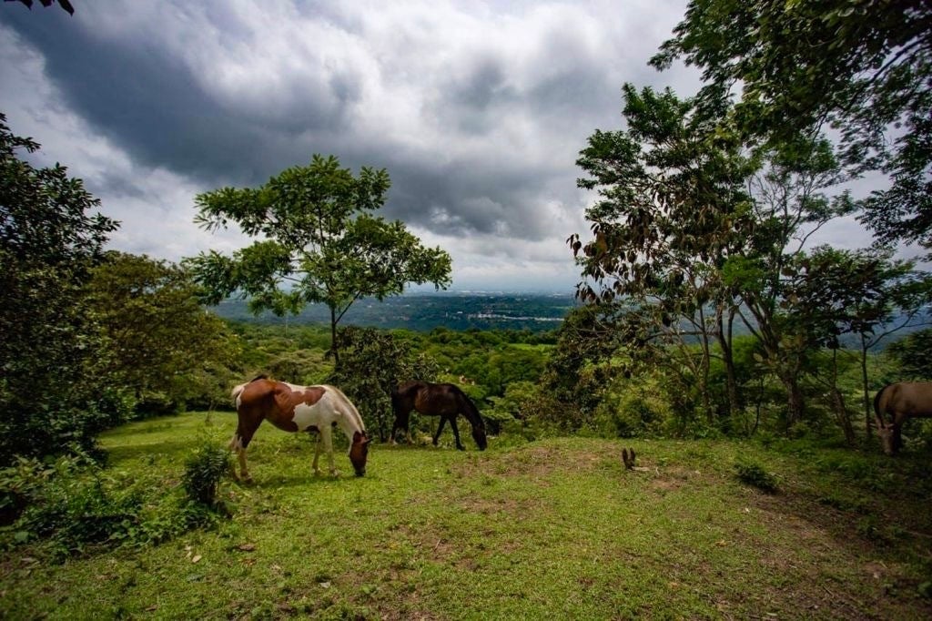 Nature-immersed Lot, Ciudad Colon