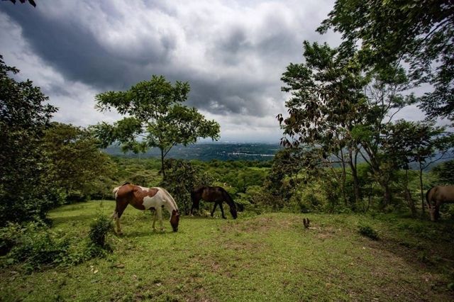 Nature-immersed Lot, Ciudad Colon