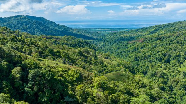 Magnific Ocean View Development Farm, Dominical